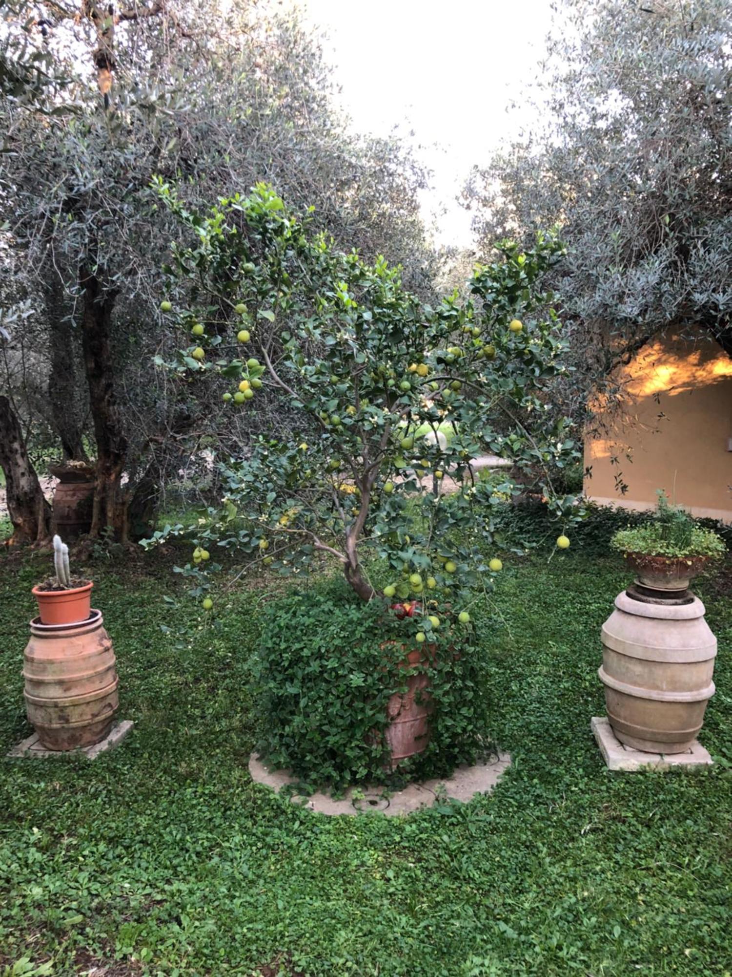 Agriturismo La Canonica Manciano Luaran gambar